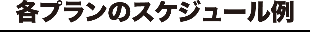 スケジュール例